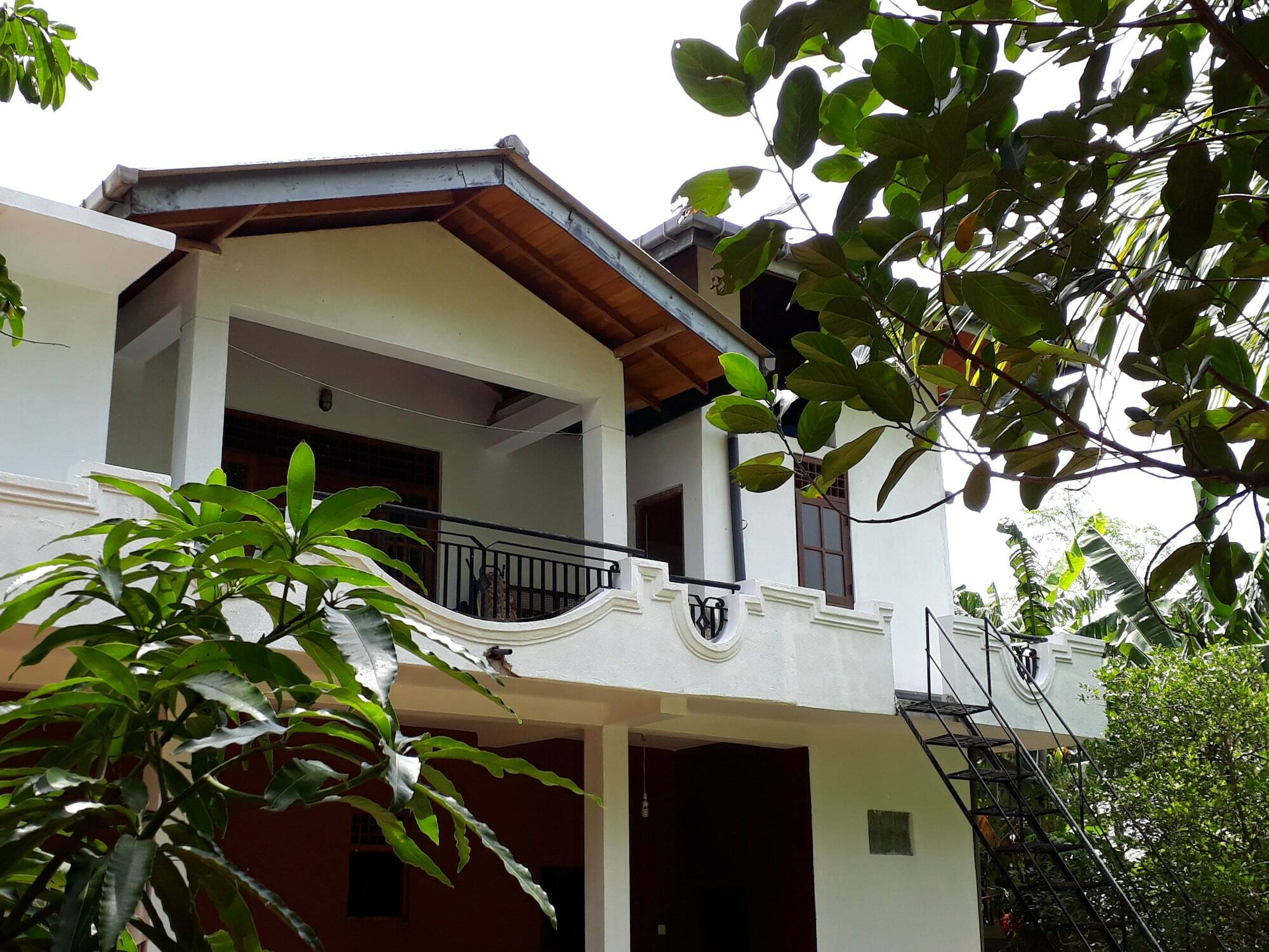 Green Villa Anuradhapura Zewnętrze zdjęcie